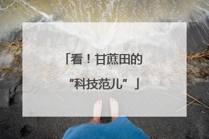 看！甘蔗田的“科技范儿”
